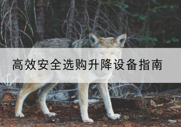 望谟升降货梯厂家推荐-*安全选购升降设备指南