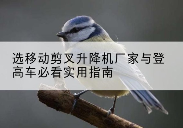 望谟电动升降机厂家-选移动剪叉升降机厂家与登高车必看实用指南