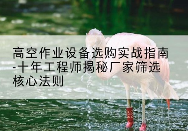 望谟剪叉式升降机厂家-高空作业设备选购实战指南-十年工程师揭秘厂家筛选核心法则